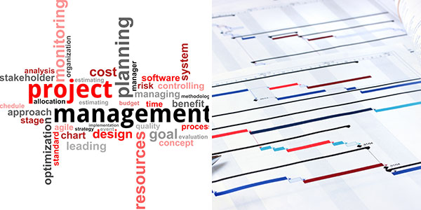 Project Services